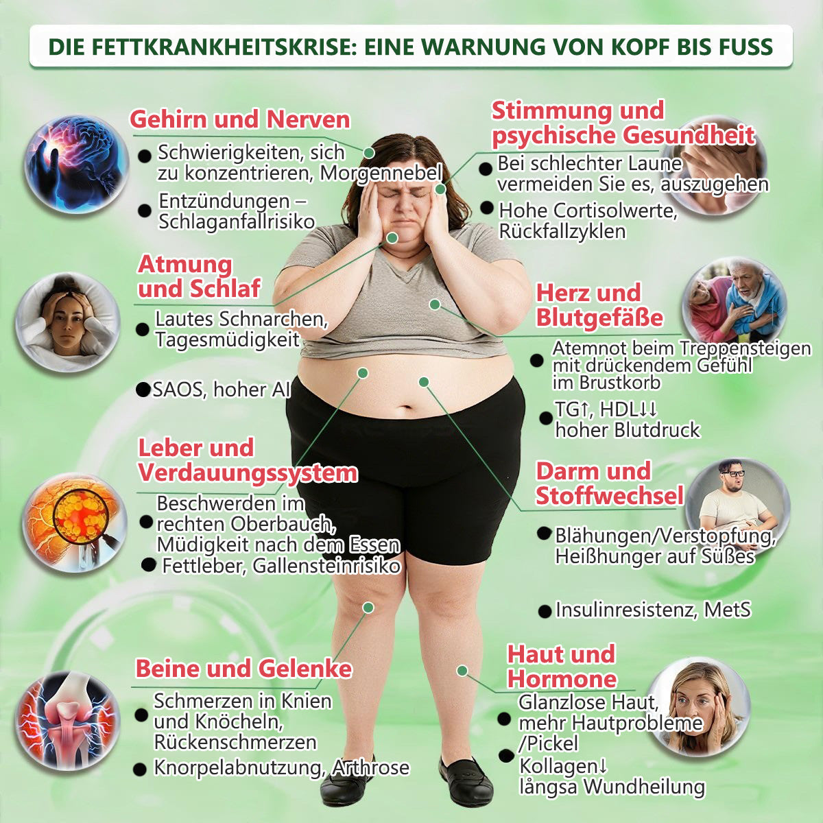 🩸Offizieller schwedischer shop 🇸🇪 | Geelemon® Advanced Nano System einmal täglich pflege